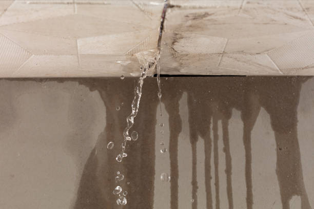 Professional Sewage Cleanup technician working in Cambria, IL